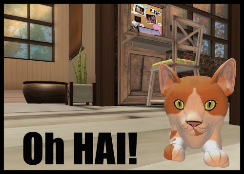 5149480393_390bb06d9d_b