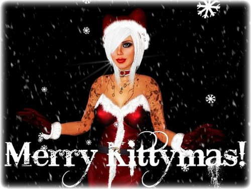 3102823965_547e8a734b_z